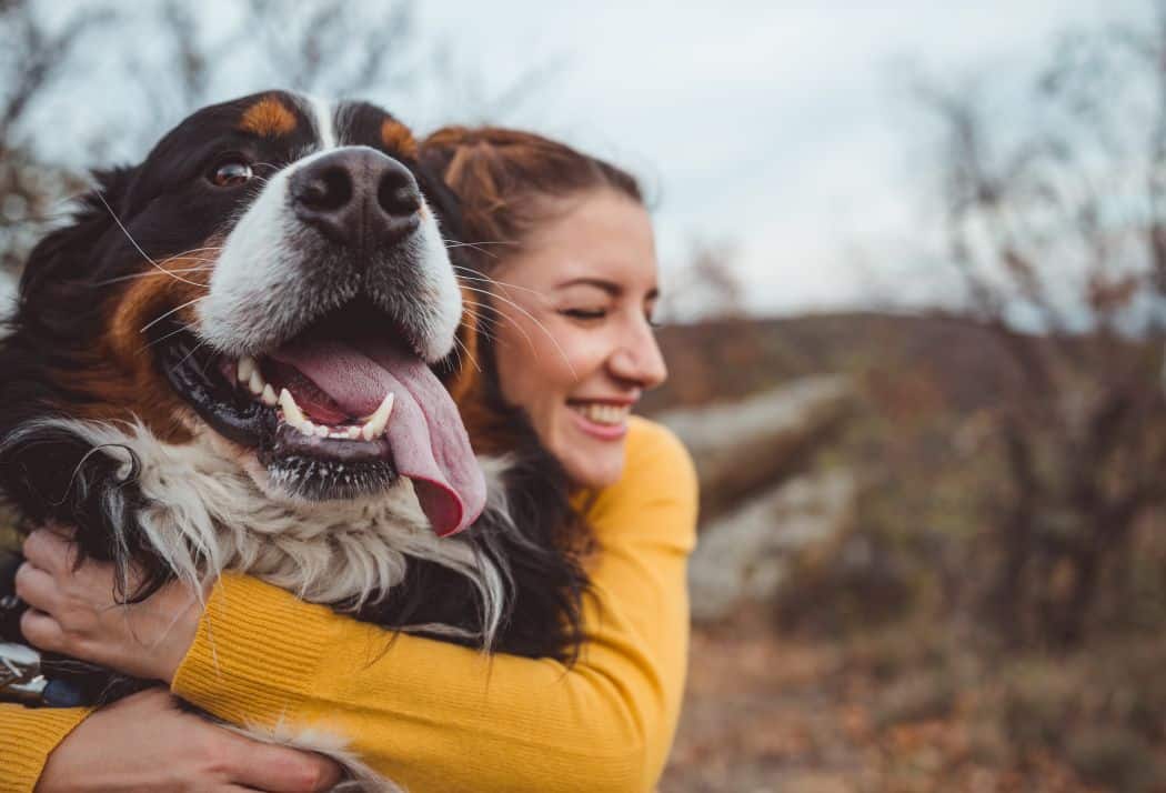 Should You Spay or Neuter Your Dog? Experienced Veterinarians Discuss