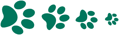 Paw Print Icon